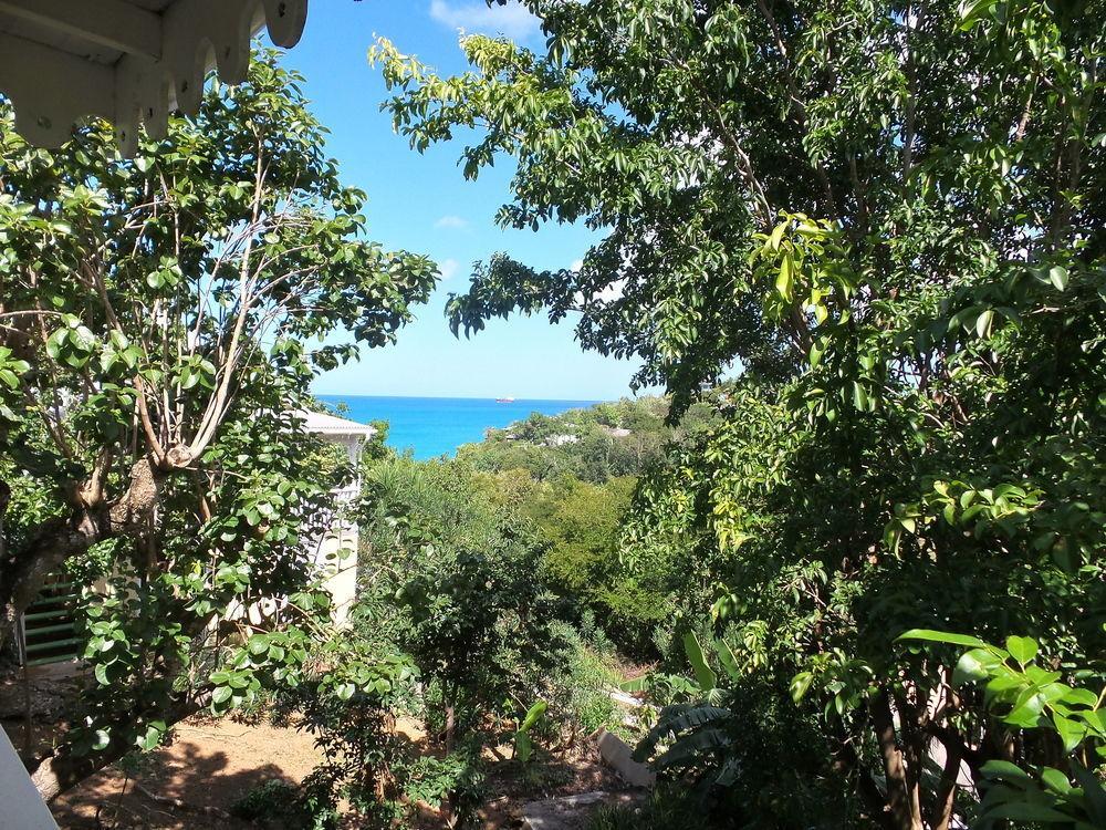 Galley Bay Cottages Five Islands Village Exterior photo