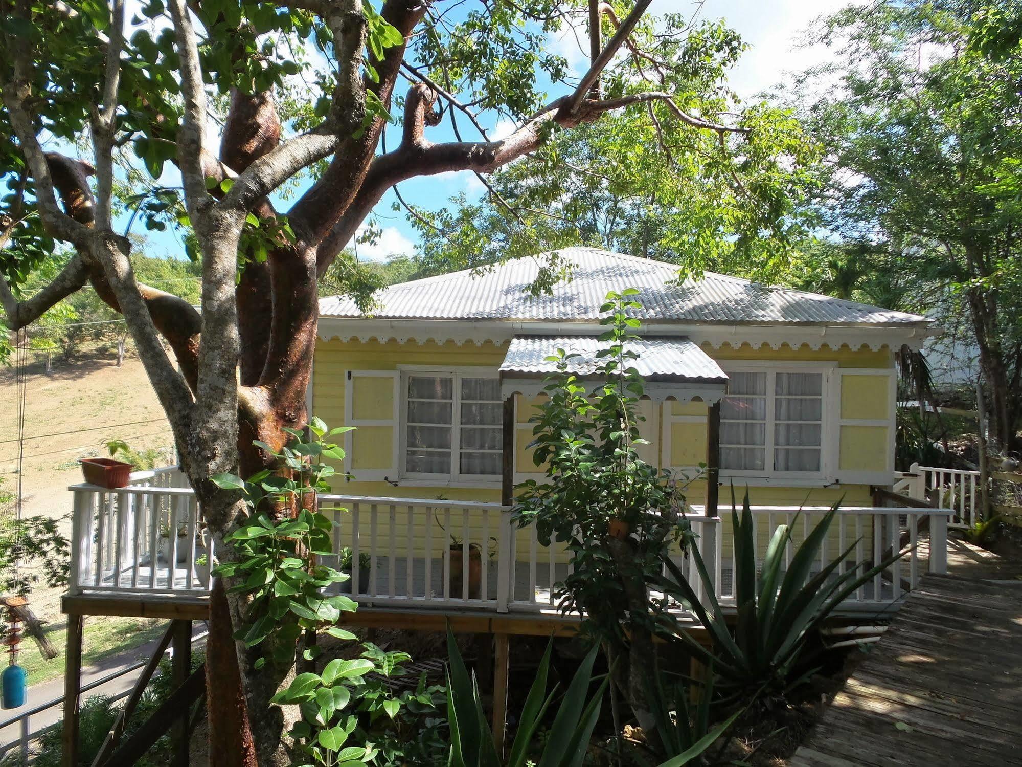 Galley Bay Cottages Five Islands Village Exterior photo